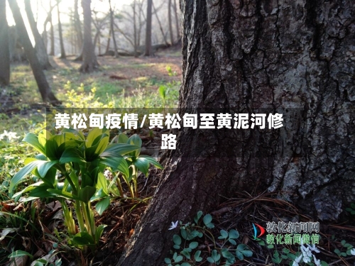 黄松甸疫情/黄松甸至黄泥河修路