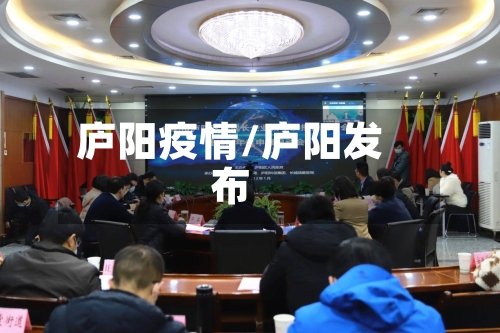庐阳疫情/庐阳发布-第3张图片