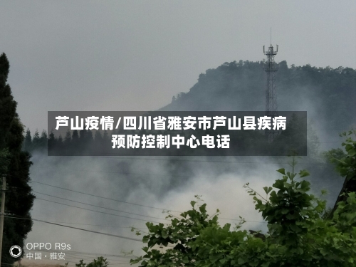 芦山疫情/四川省雅安市芦山县疾病预防控制中心电话-第3张图片