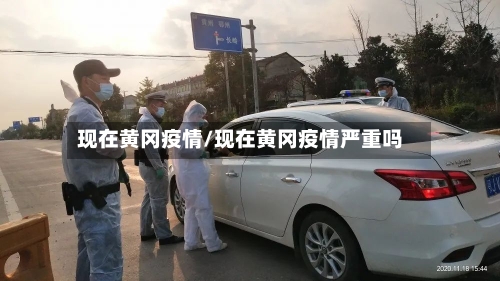 现在黄冈疫情/现在黄冈疫情严重吗-第2张图片