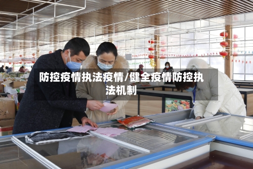 防控疫情执法疫情/健全疫情防控执法机制-第3张图片