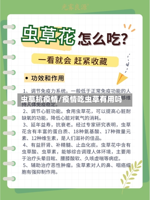 虫草抗疫情/疫情吃虫草有用吗