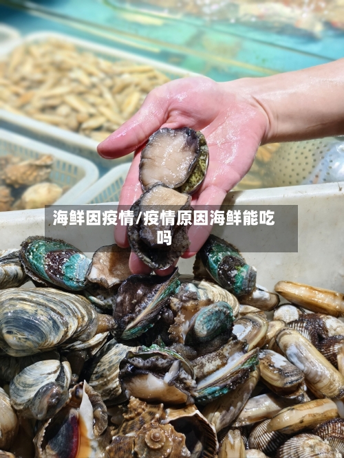 海鲜因疫情/疫情原因海鲜能吃吗-第3张图片