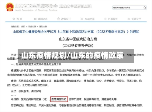 山东疫情规划/山东的疫情政策-第3张图片