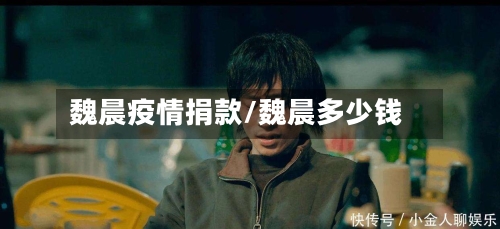 魏晨疫情捐款/魏晨多少钱