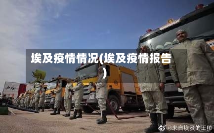 埃及疫情情况(埃及疫情报告)-第3张图片