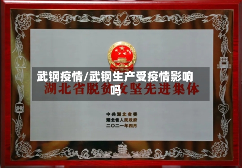 武钢疫情/武钢生产受疫情影响吗-第3张图片